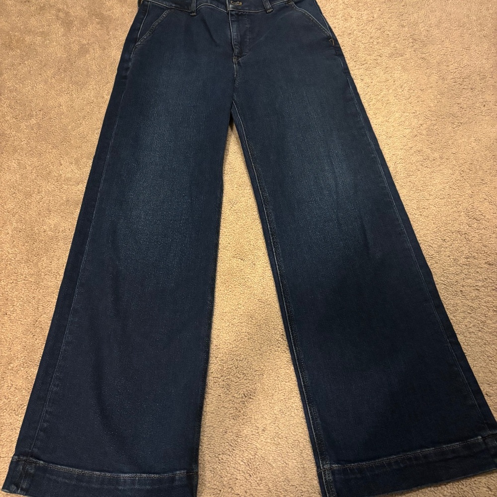 J Crew Factory Trouser 27P